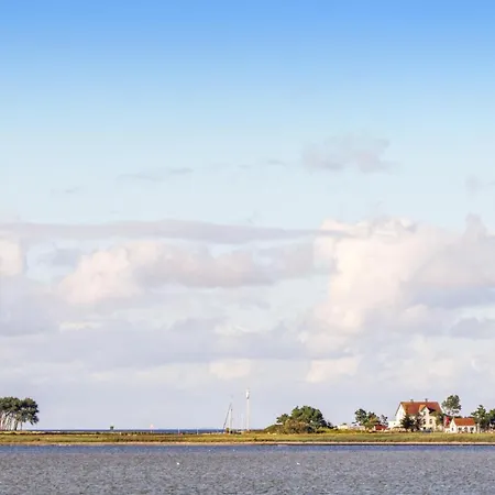Meer Mehr Ii